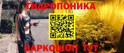 стафф Мариинск